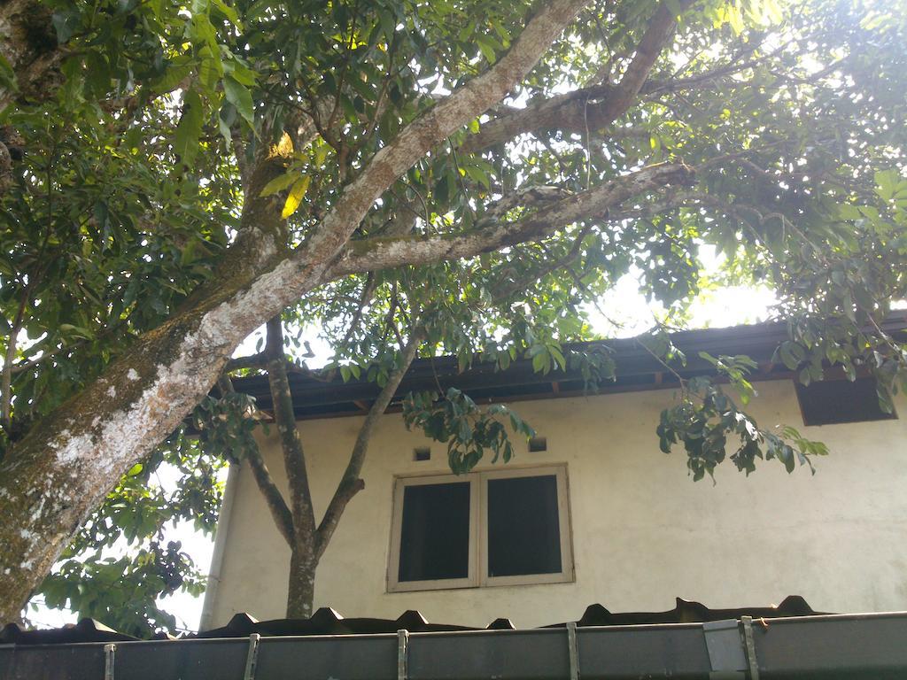 Anne'S Maisonnette Galle Luaran gambar