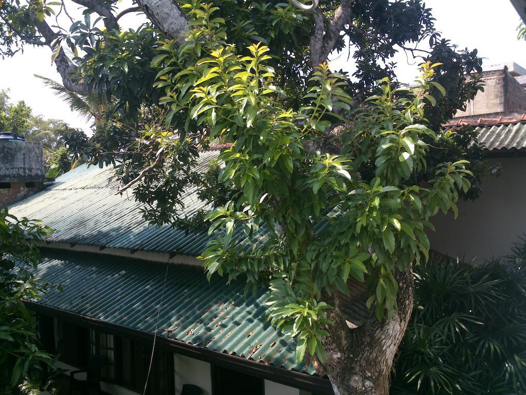 Anne'S Maisonnette Galle Luaran gambar