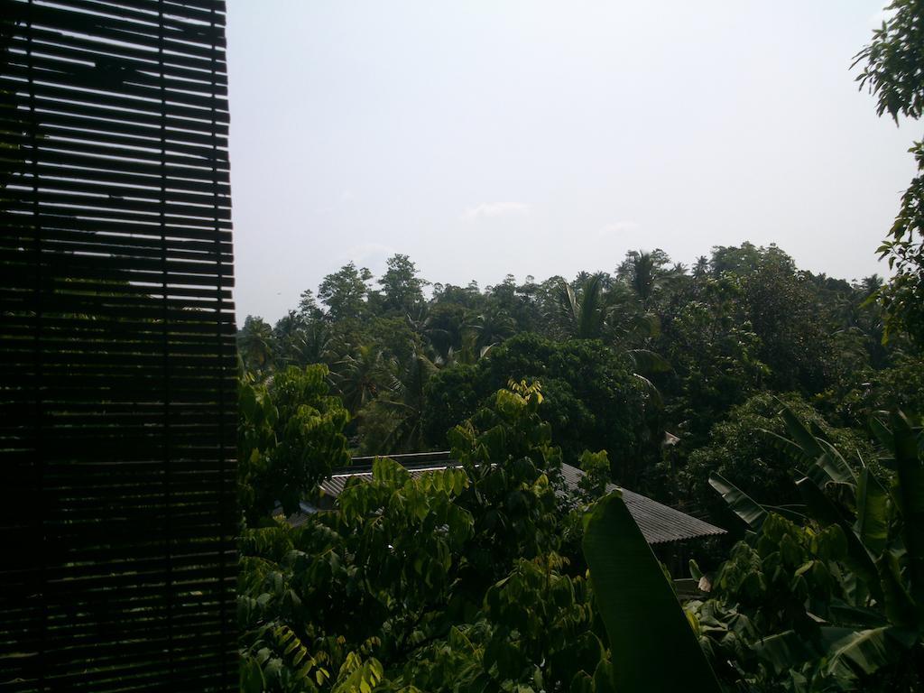 Anne'S Maisonnette Galle Luaran gambar