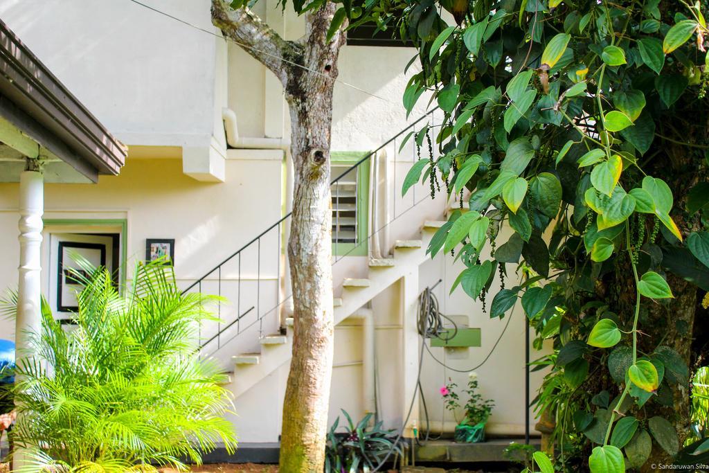 Anne'S Maisonnette Galle Luaran gambar