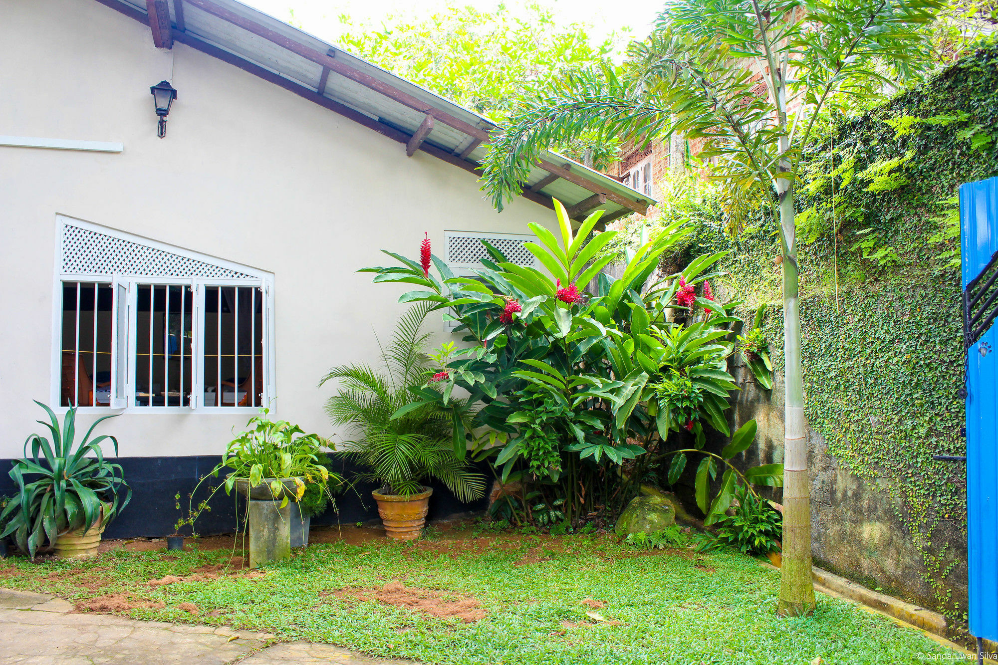 Anne'S Maisonnette Galle Luaran gambar